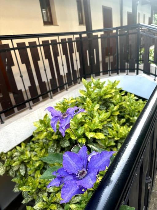 Spacious Fully Furnished Studio In Kavarna Apart Hotel ภายนอก รูปภาพ